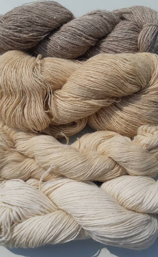 WhatsApp Image 2025-01-10 at 2.26.29 PM